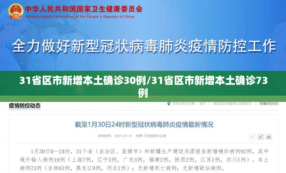 31省区市新增本土确诊30例/31省区市新增本土确诊73例 31省区市新增本土确诊30例/31省区市新增本土确诊73例