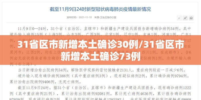 31省区市新增本土确诊30例/31省区市新增本土确诊73例 31省区市新增本土确诊30例/31省区市新增本土确诊73例