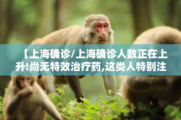 【上海确诊/上海确诊人数正在上升!尚无特效治疗药,这类人特别注意】 【上海确诊/上海确诊人数正在上升!尚无特效治疗药,这类人特别注意】