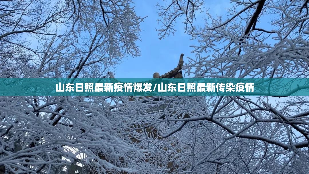 山东日照最新疫情爆发/山东日照最新传染疫情