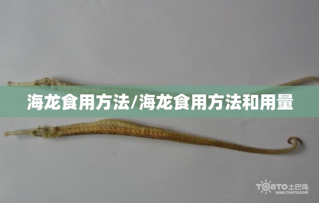 海龙食用方法/海龙食用方法和用量