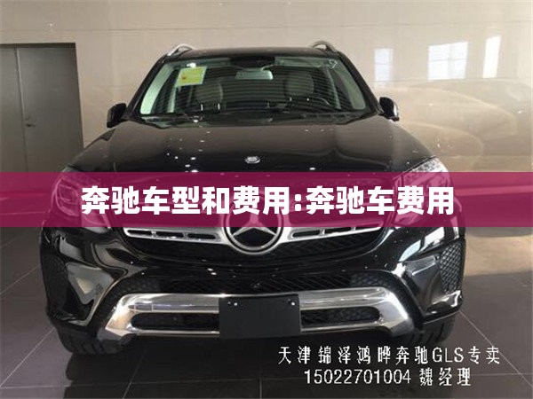 奔驰车型和费用:奔驰车费用 奔驰车型和费用:奔驰车费用