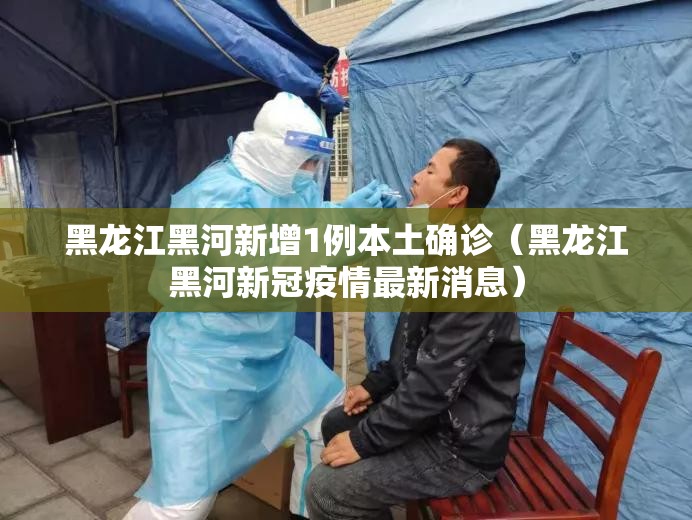 黑龙江黑河新增1例本土确诊(黑龙江黑河新冠疫情最新消息) 黑龙江黑河新增1例本土确诊(黑龙江黑河新冠疫情最新消息)
