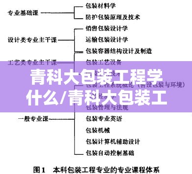 青科大包装工程学什么/青科大包装工程学什么课程 青科大包装工程学什么/青科大包装工程学什么课程