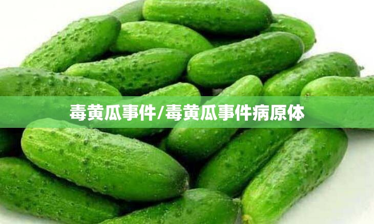 毒黄瓜事件/毒黄瓜事件病原体
