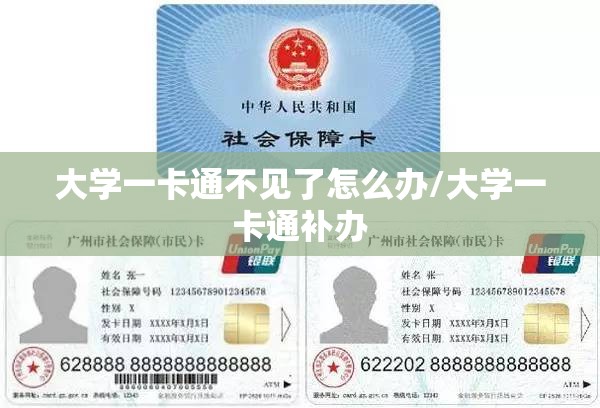 大学一卡通不见了怎么办/大学一卡通补办 大学一卡通不见了怎么办/大学一卡通补办
