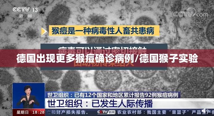 德国出现更多猴痘确诊病例/德国猴子实验 德国出现更多猴痘确诊病例/德国猴子实验