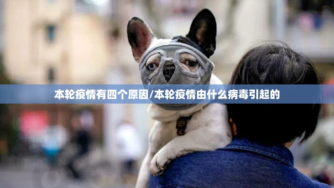 本轮疫情有四个原因/本轮疫情由什么病毒引起的 本轮疫情有四个原因/本轮疫情由什么病毒引起的