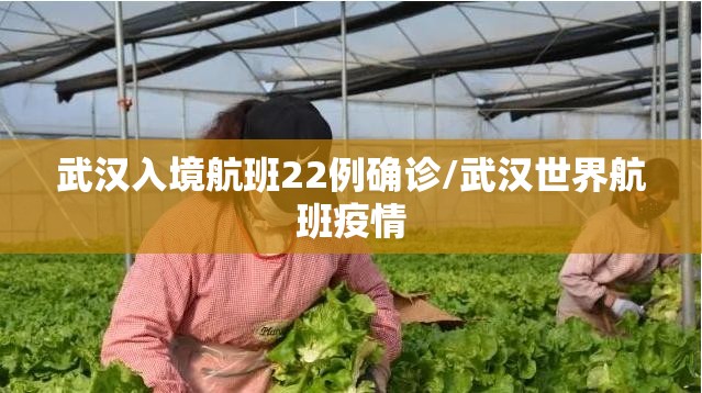 武汉入境航班22例确诊/武汉世界航班疫情 武汉入境航班22例确诊/武汉世界航班疫情