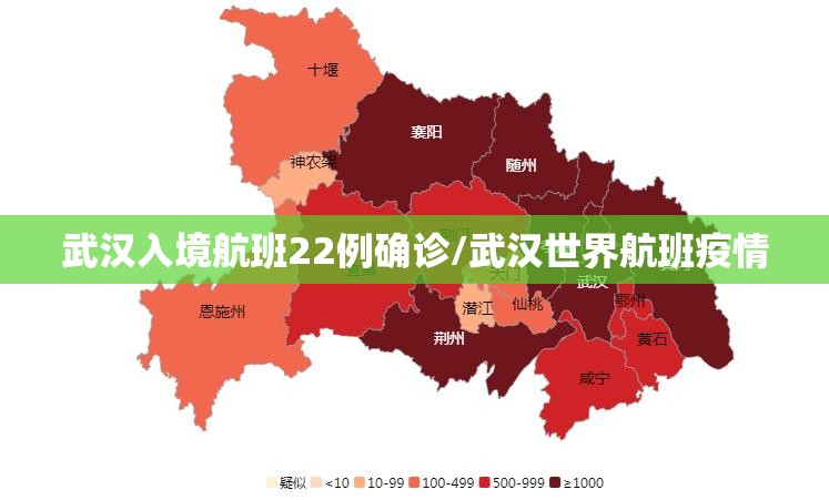 武汉入境航班22例确诊/武汉世界航班疫情 武汉入境航班22例确诊/武汉世界航班疫情