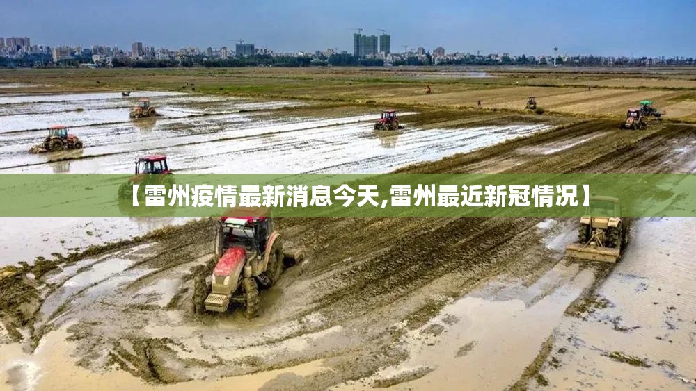 【雷州疫情最新消息今天,雷州最近新冠情况】