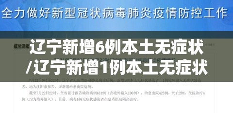 辽宁新增6例本土无症状/辽宁新增1例本土无症状行程