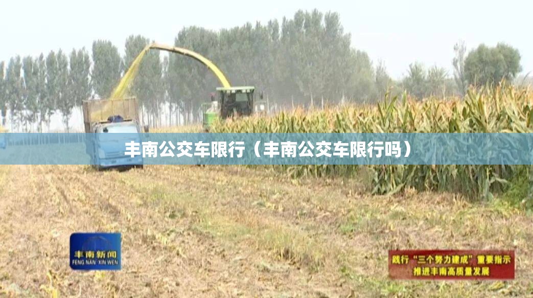 丰南公交车限行(丰南公交车限行吗) 丰南公交车限行(丰南公交车限行吗)