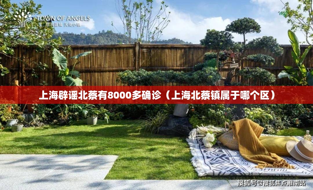 上海辟谣北蔡有8000多确诊(上海北蔡镇属于哪个区) 上海辟谣北蔡有8000多确诊(上海北蔡镇属于哪个区)