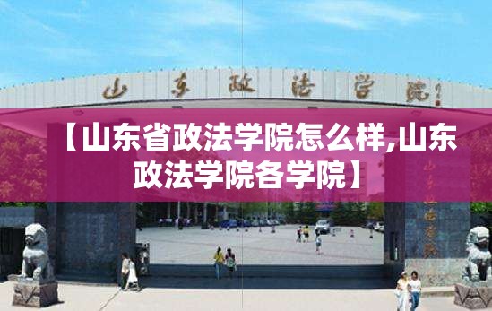 【山东省政法学院怎么样,山东政法学院各学院】