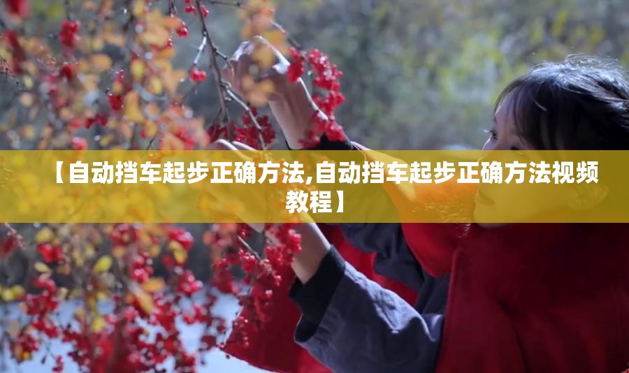 【自动挡车起步正确方法,自动挡车起步正确方法视频教程】 【自动挡车起步正确方法,自动挡车起步正确方法视频教程】