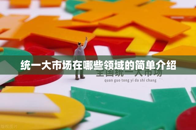 统一大市场在哪些领域的简单介绍
