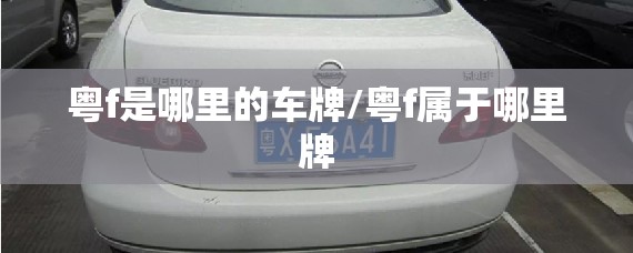 粤f是哪里的车牌/粤f属于哪里牌 粤f是哪里的车牌/粤f属于哪里牌