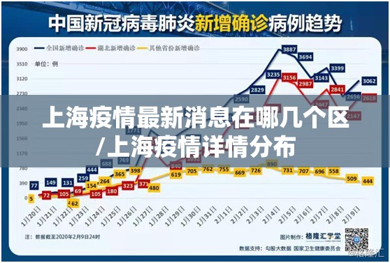 上海疫情最新消息在哪几个区/上海疫情详情分布