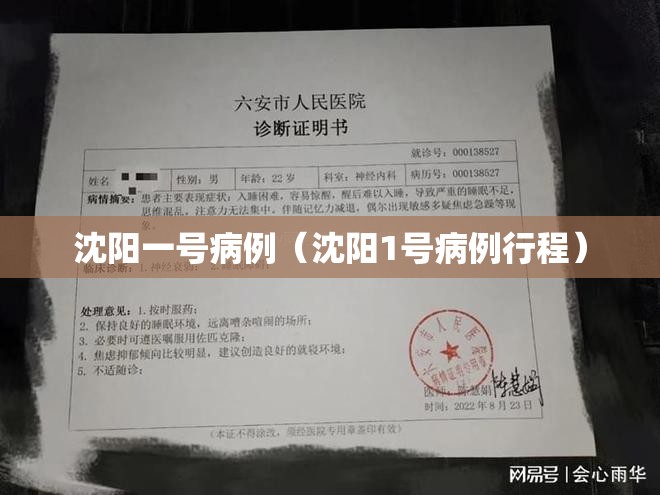 沈阳一号病例(沈阳1号病例行程) 沈阳一号病例(沈阳1号病例行程)