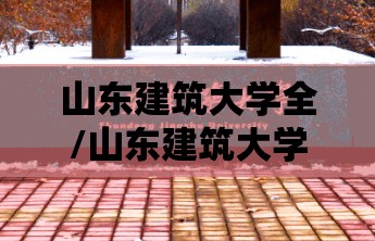 山东建筑大学全/山东建筑大学全国排第几