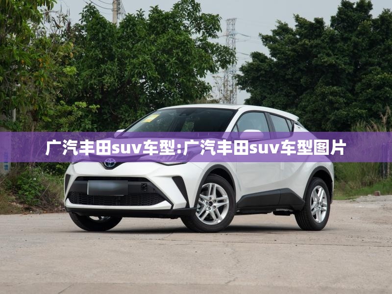 广汽丰田suv车型:广汽丰田suv车型图片