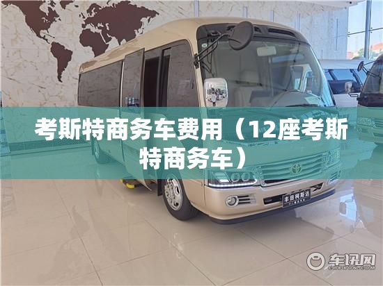 考斯特商务车费用（12座考斯特商务车）