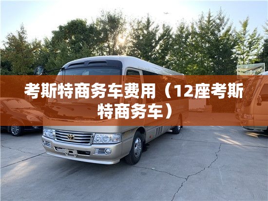 考斯特商务车费用（12座考斯特商务车）