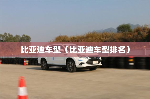 比亚迪车型（比亚迪车型排名）