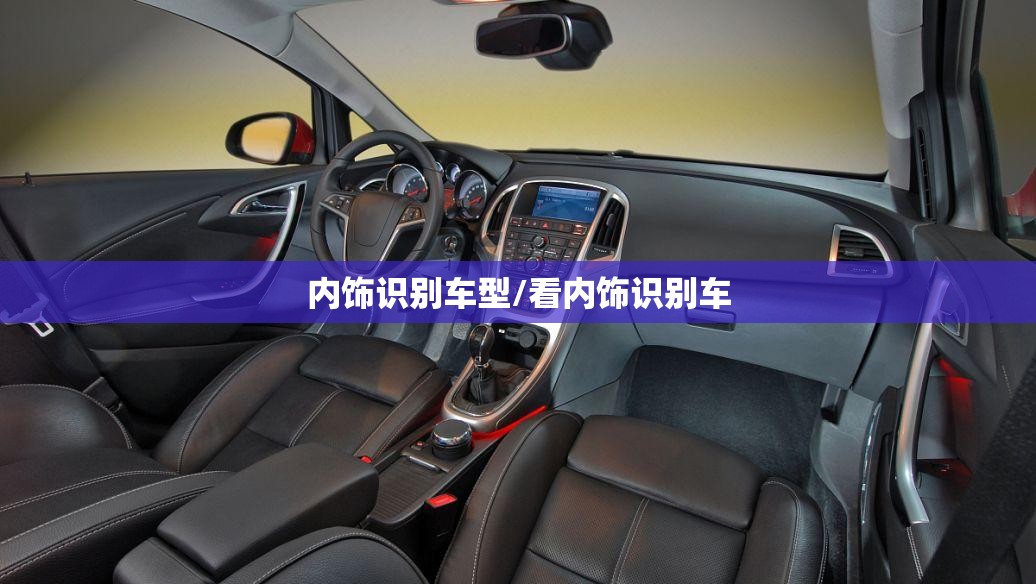 内饰识别车型/看内饰识别车