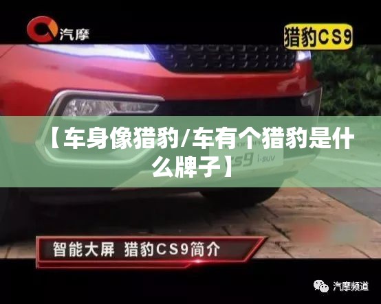 【车身像猎豹/车有个猎豹是什么牌子】