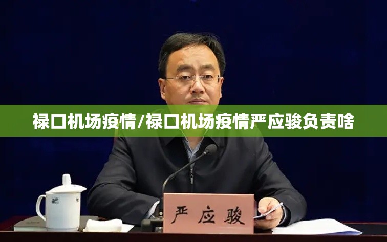 禄口机场疫情/禄口机场疫情严应骏负责啥