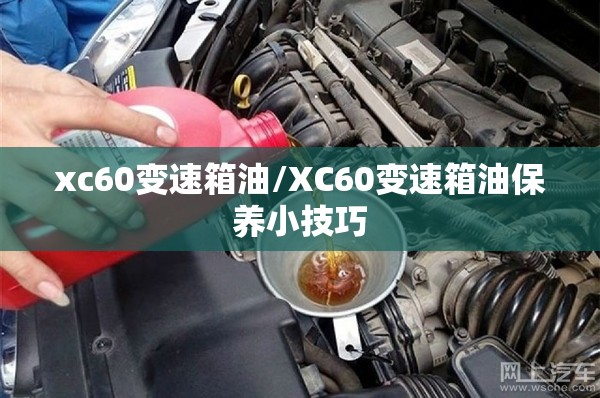xc60变速箱油/XC60变速箱油保养小技巧