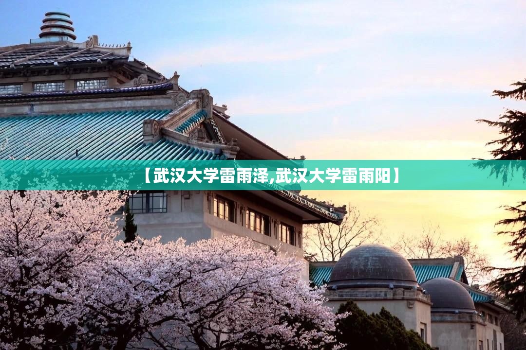【武汉大学雷雨泽,武汉大学雷雨阳】