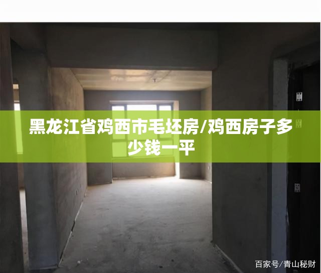 黑龙江省鸡西市毛坯房/鸡西房子多少钱一平