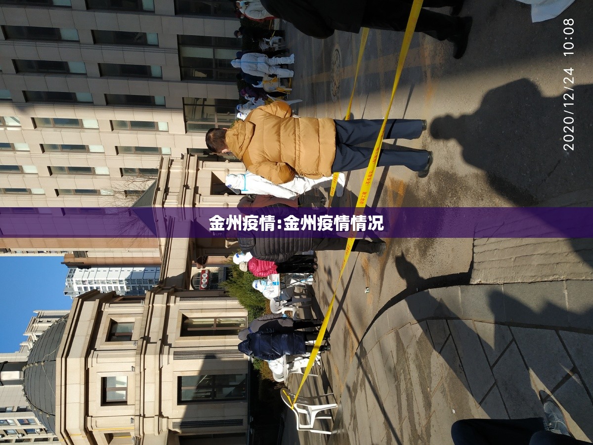 金州疫情:金州疫情情况