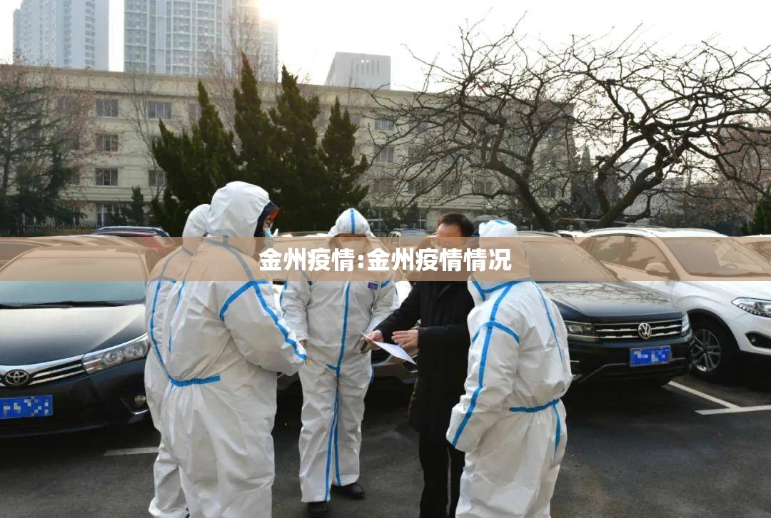 金州疫情:金州疫情情况