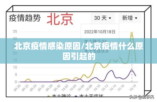 北京疫情感染原因/北京疫情什么原因引起的