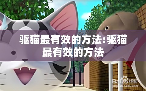 驱猫最有效的方法:驱猫最有效的方法