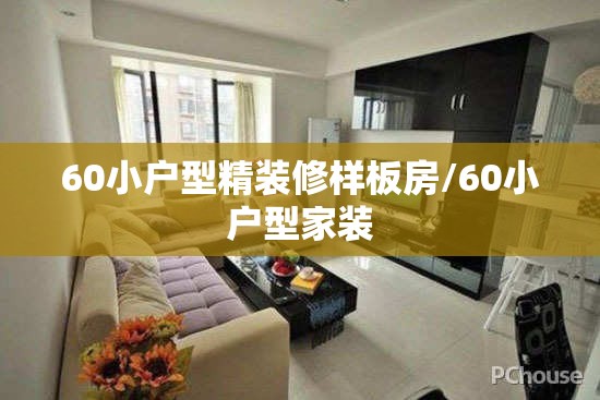 60小户型精装修样板房/60小户型家装