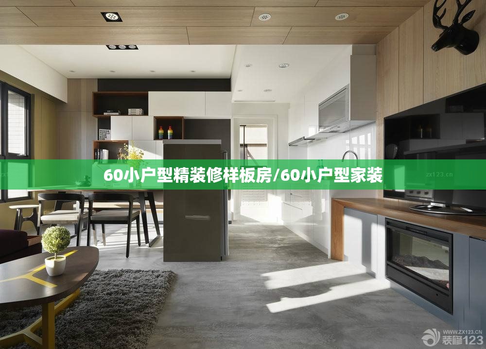 60小户型精装修样板房/60小户型家装