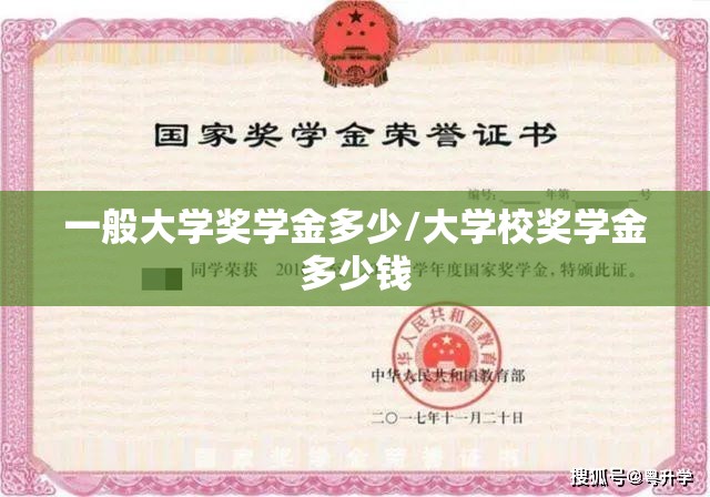 一般大学奖学金多少/大学校奖学金多少钱