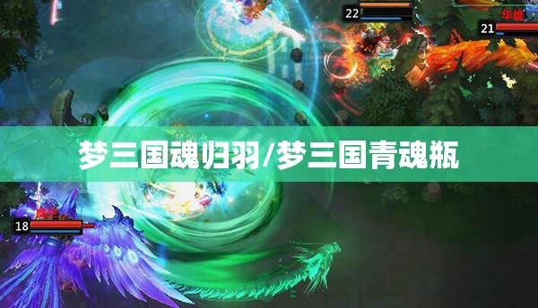 梦三国魂归羽/梦三国青魂瓶