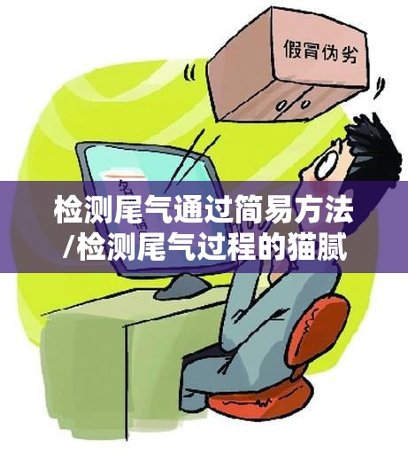 检测尾气通过简易方法/检测尾气过程的猫腻