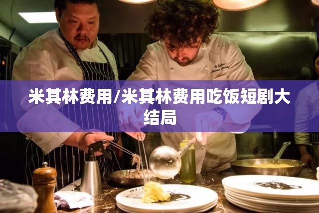 米其林费用/米其林费用吃饭短剧大结局