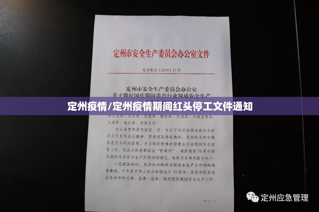 定州疫情/定州疫情期间红头停工文件通知