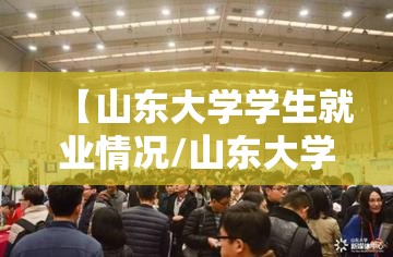 【山东大学学生就业情况/山东大学学生就业信息网】