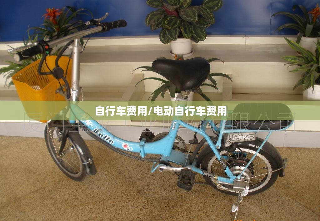 自行车费用/电动自行车费用