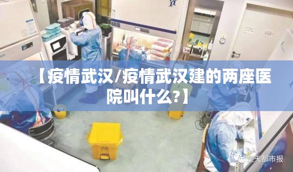 【疫情武汉/疫情武汉建的两座医院叫什么?】