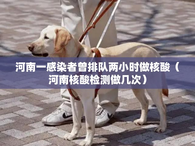 河南一感染者曾排队两小时做核酸（河南核酸检测做几次）